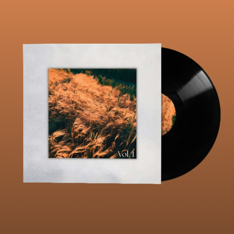 Quiet Days, Vol. 1 (Vinyl)
